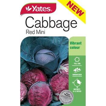 Seeds Cabbage Red Mini B
