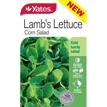 Seeds Lambs Lettuce Yates B
