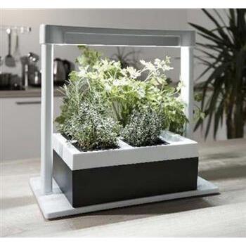 Growing Kit Herb Lamp 4 Pot Self Watering