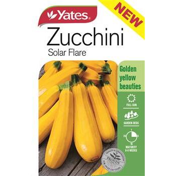 Seed Zucchini Solar Flare C