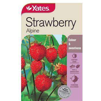 Strawberry Seeds Pkt Yates