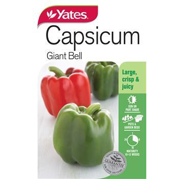 Capsicum Giant Bell Seeds Pkt Yates