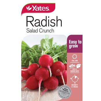 Radish Round Salad Crunch Seeds Pkt Yates