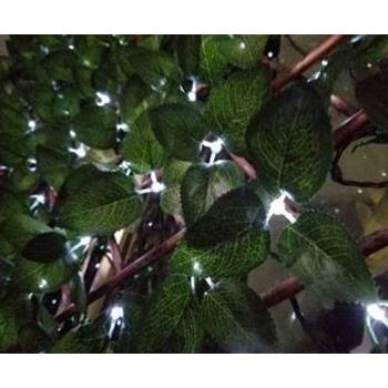 Trellis Boxwood Solar with LED 180 x 90cm