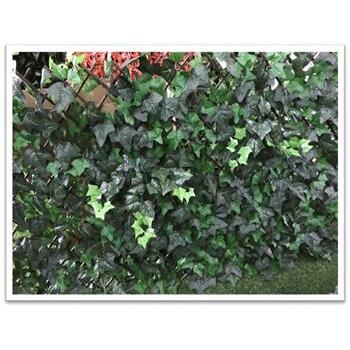 Trellis Ivy Leaf 180 x 90cm