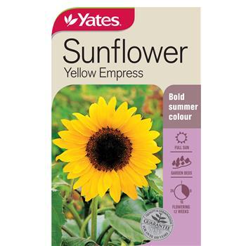 Sunflower Yellow Empress Seeds Pkt Yates
