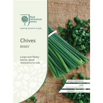 Seeds Chives Biggy RHS
