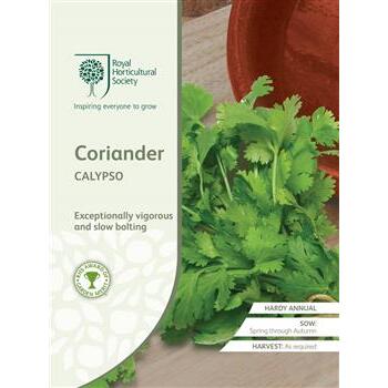 Seeds Coriander Calypso RHS