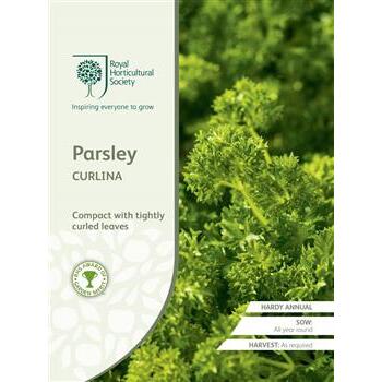 Seeds Parsley Curlina RHS