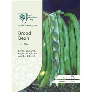 Seeds Broad Bean Tripoli RHS