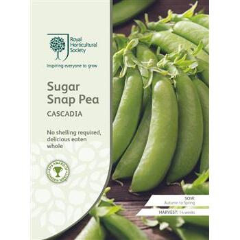 Seeds Sugar Pea Cascadia RHS