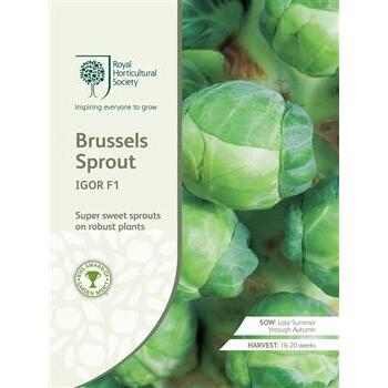 Seeds Brussels Sprout Igor F1 RHS