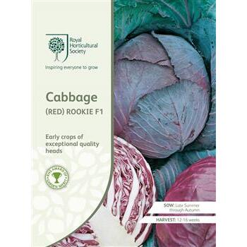 Seeds Cabbage Red Rookie F1 RHS