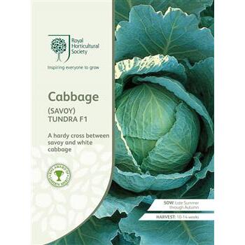 Seeds Cabbage Savoy Tundra F1 RHS