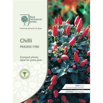 Seeds Chilli Prairie Fire RHS