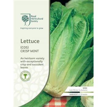 Seeds Lettuce Cos Crisp Mint RHS