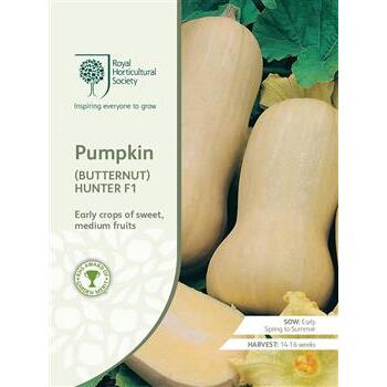 Seeds Pumpkin Butternut Hunter F1 RHS