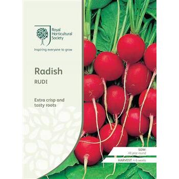 Seeds Radish Rudi RHS