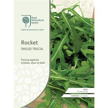 Seeds Rocket Tricia RHS