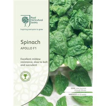 Seeds Spinach Apollo F1 RHS