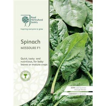 Seeds Spinach Missouri F1 RHS