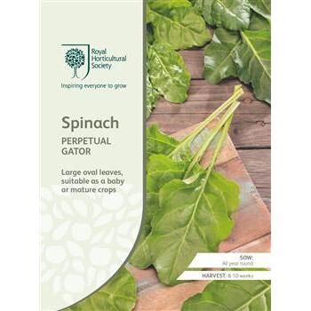 Seeds Spinach Perpetual Gator RHS