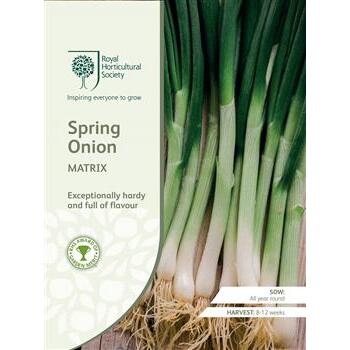 Seeds Spring Onion Matrix RHS