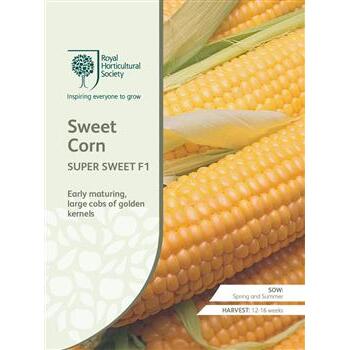 Seeds Sweet Corn Super Sweet F1 RHS