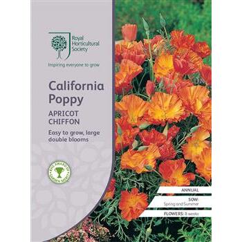 Seeds California Poppy Apricot Chiffon RHS
