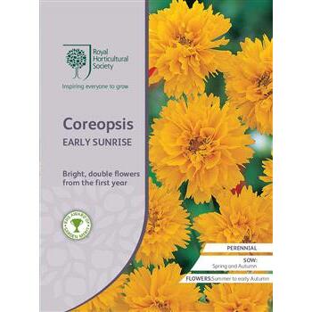 Seeds Coreopsis Early Sunrise RHS