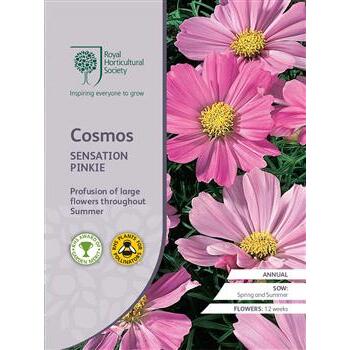 Seeds Cosmos Sensation Pinkie RHS