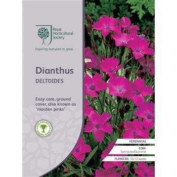Seeds Dianthus Deltoides RHS
