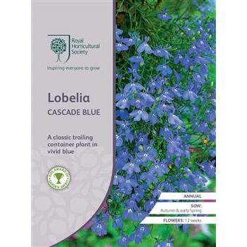 Seeds Lobelia Cascade Blue RHS