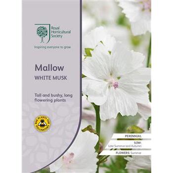 Seeds Mallow White Musk RHS