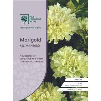 Seeds Marigold African Kilimanjaro RHS