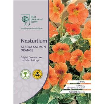 Seeds Nasturtium Alaska Salmon Orange RHS