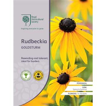 Seeds Rudbeckia Goldsturm RHS