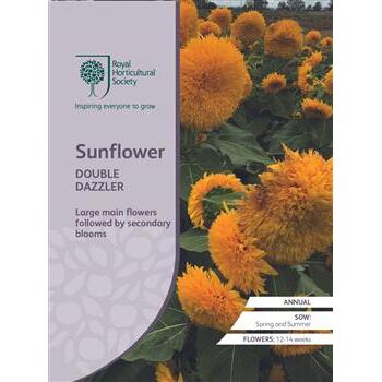 Seeds Sunflower Double Dazzler F1 RHS