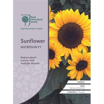 Seeds Sunflower Microsun F1 RHS