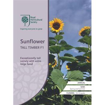 Seeds Sunflower Tall Timber F1 RHS