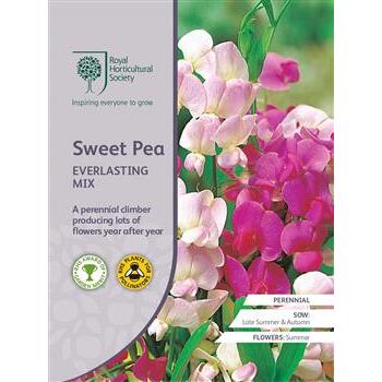 Seeds Sweet Pea Everlasting Mix RHS