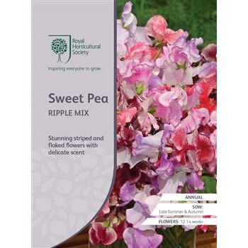 Seeds Sweet Pea Ripple Mix RHS