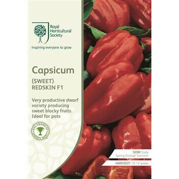 Seeds Capsicum Redskin F1 RHS