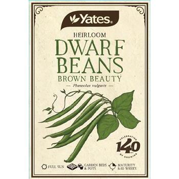 Seeds Dwarf Beans Brown Beauty Heirloom Yates