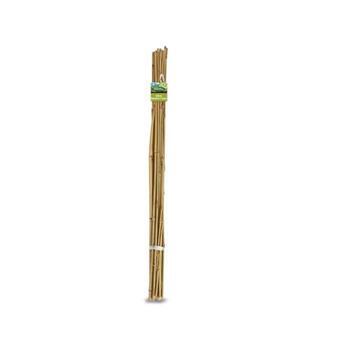 Stake Bamboo Cane 0.6m 20 Pack Brunnings