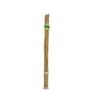 Stake Bamboo Cane 1.8m 10 Pack Brunnings