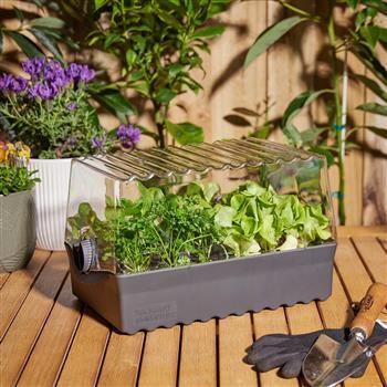 Prop Kit Flori Seed Grey Backyard Farmer