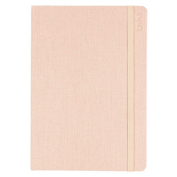 Diary 2025 Debden Designer A5 D38.P51-25 Wtv Peach